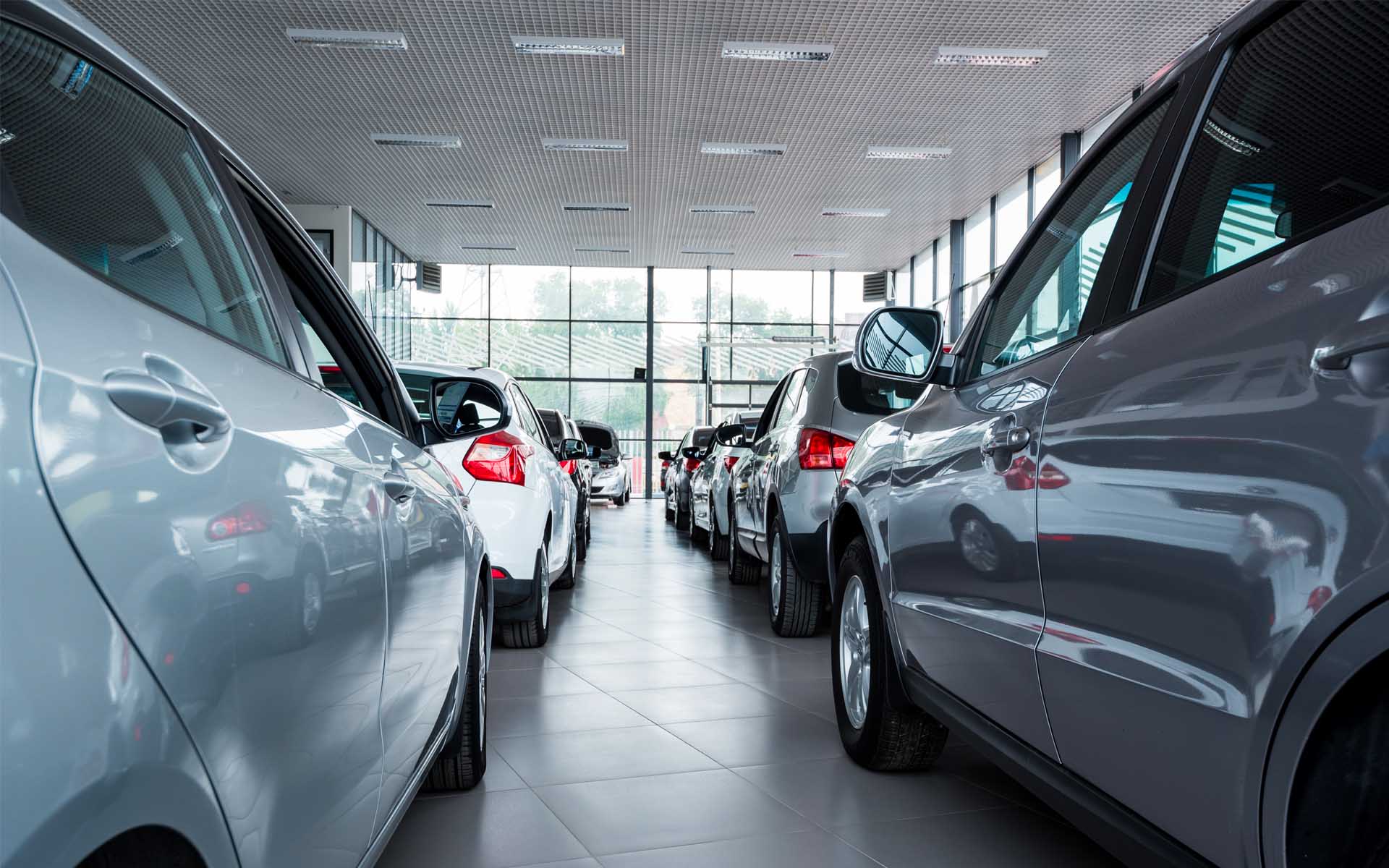 New cars at dealer showroom