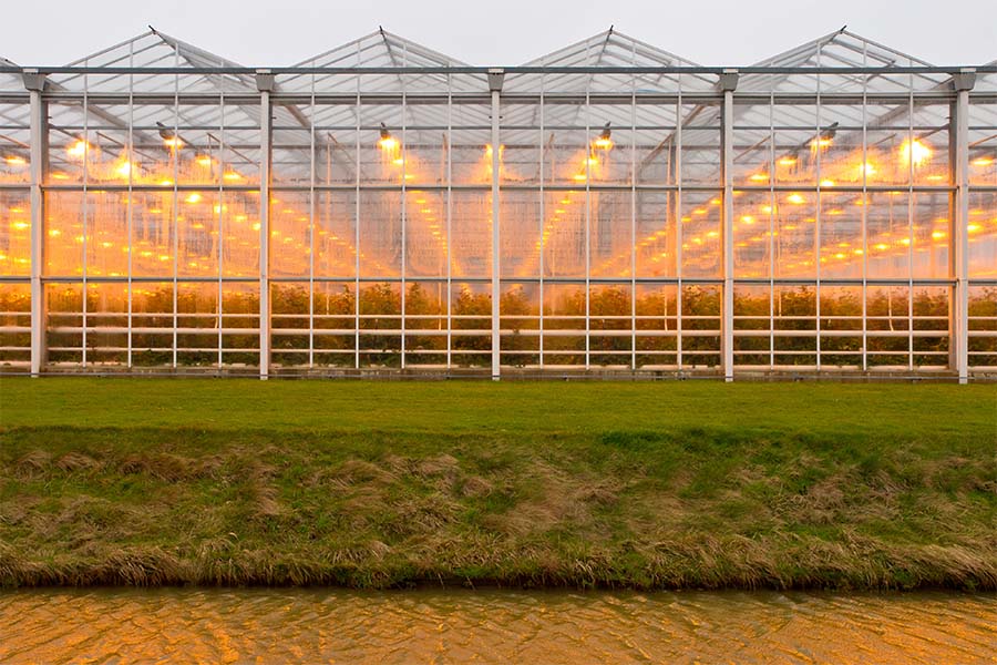 Greenhouse Insurance - Exterior View of a Modern Commercial Greenhouse with the Lights Turned on During the Evening Hours Next to Green Grass