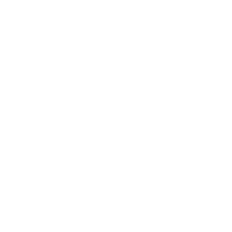Garage Guard - Logo 800 White
